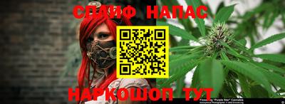 прущие грибы Азнакаево