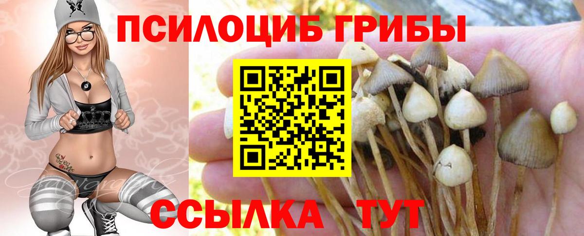 Апшеронск  Галлюциногенные грибы прущие грибы  Вход с VPN 